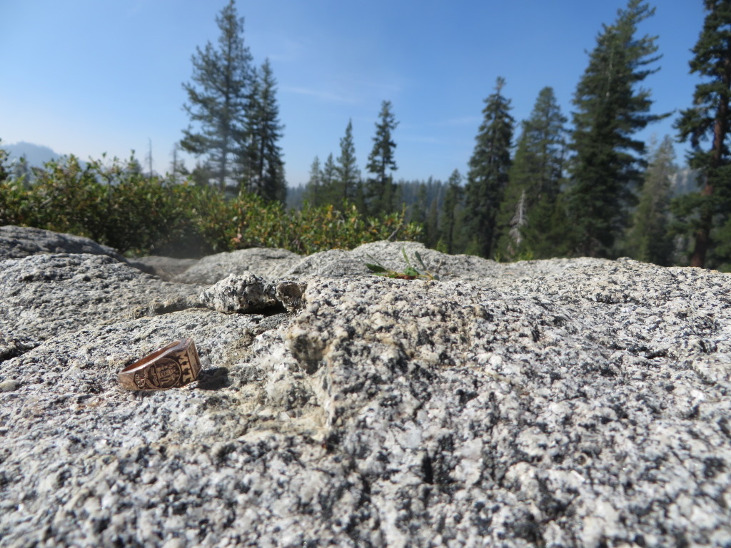 Granodiorite in Yosemite
