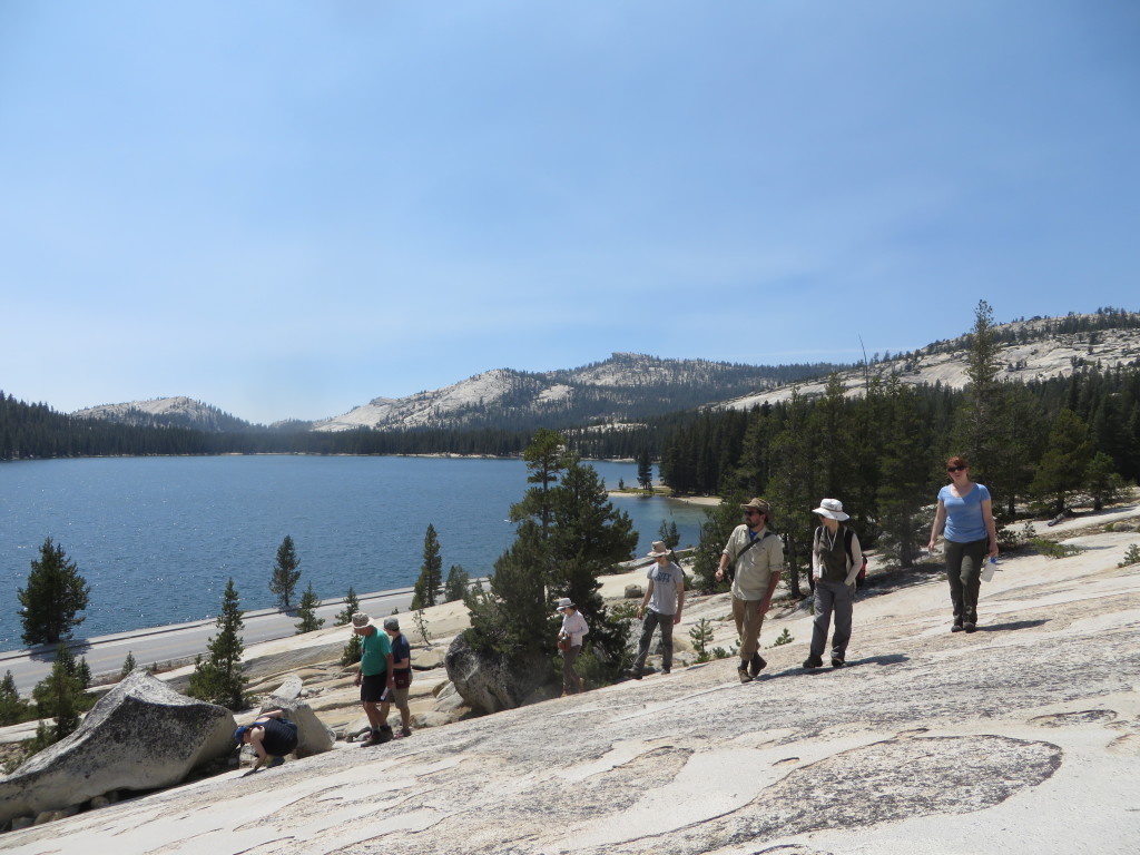 Glacial polish above Tenaya Lake, Yosemite