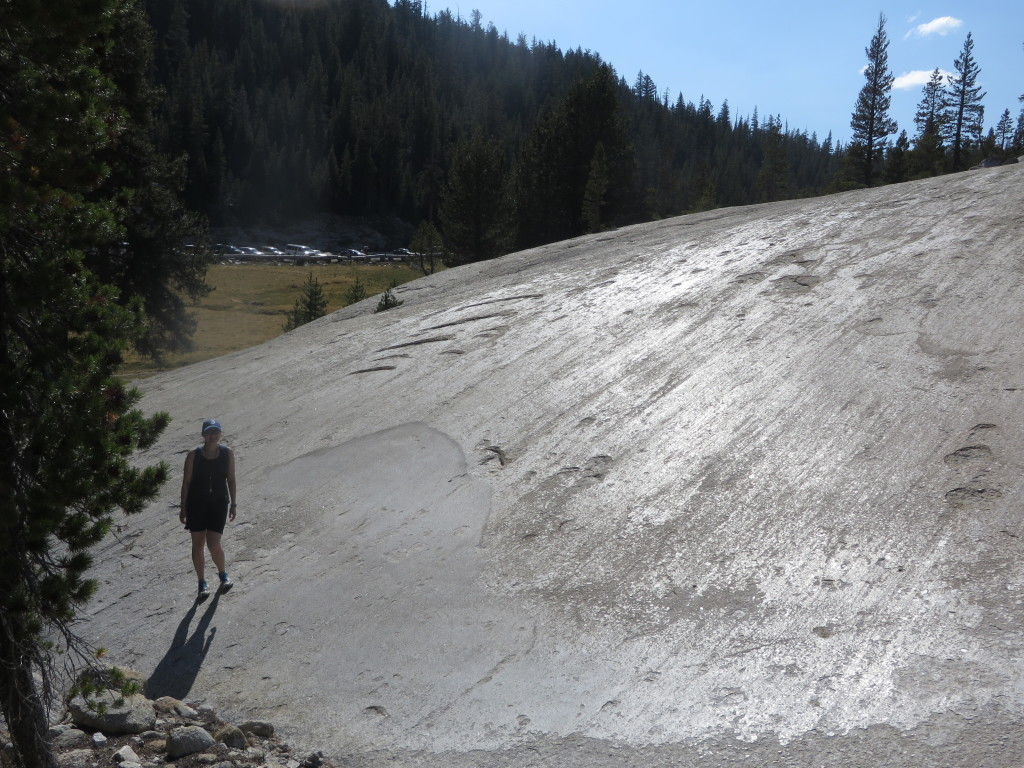 Glacial striations in Tuolumne meadows